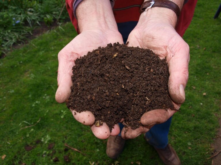 Compost Brief Overview: What to Know