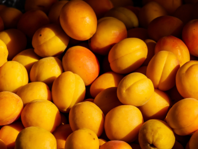 Apricot