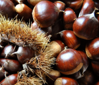 Chestnuts