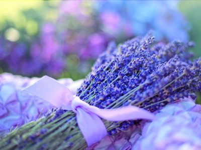 lavenders, flowers, bouquet-2482374.jpg
