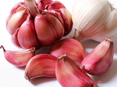 red garlic